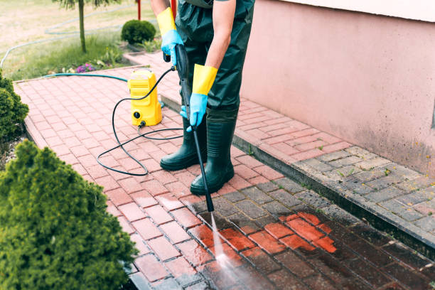 Best Pressure Washing Driveway  in Cave Springs, AR