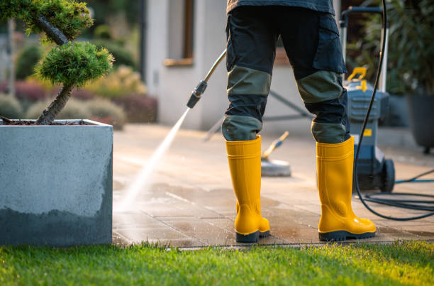Best House Pressure Washing  in Cave Springs, AR
